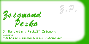 zsigmond pesko business card